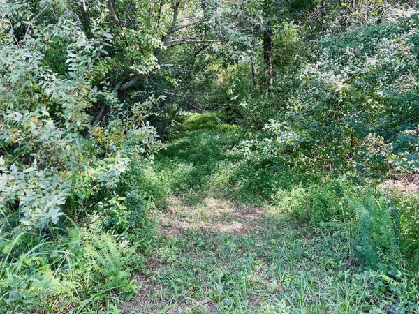 Flat Rock, AL 35966,7578 Hwy 117