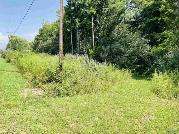 Flat Rock, AL 35966,7578 Hwy 117