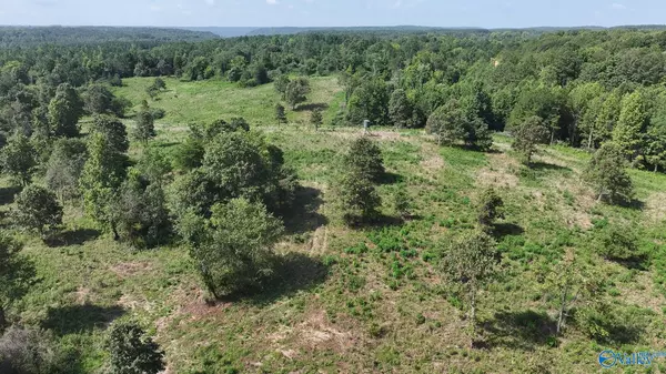 Flat Rock, AL 35966,200 ac County Road 81