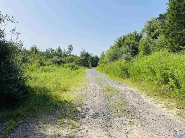 Flat Rock, AL 35966,200 ac County Road 81