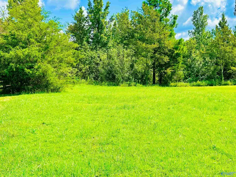 92 Spring Valley Drive, Danville, AL 35619