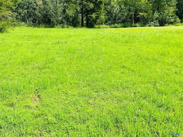 Danville, AL 35619,92 Spring Valley Drive