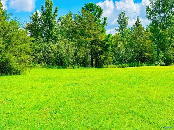 Danville, AL 35619,92 Spring Valley Drive