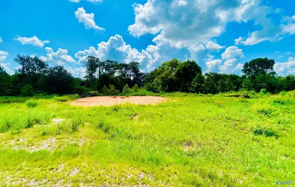 Danville, AL 35619,100 Spring Valley Drive