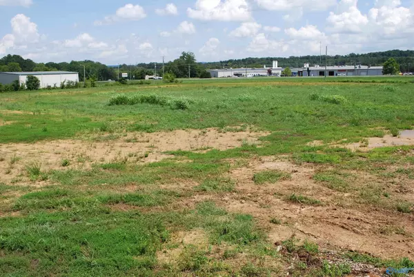 Scottsboro, AL 35768,6 Acres John T Reid Parkway