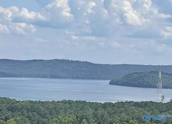 Scottsboro, AL 35769,48 AC Mccorkle Mountain Road