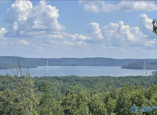 Scottsboro, AL 35769,48 AC Mccorkle Mountain Road