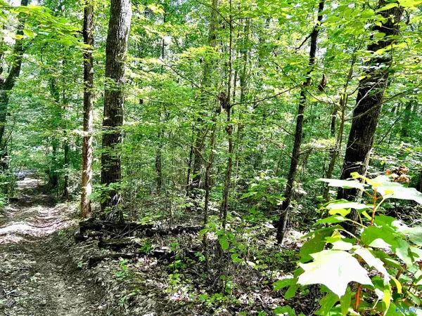 Trussville, AL 35173,6446 Trussville Clay Road