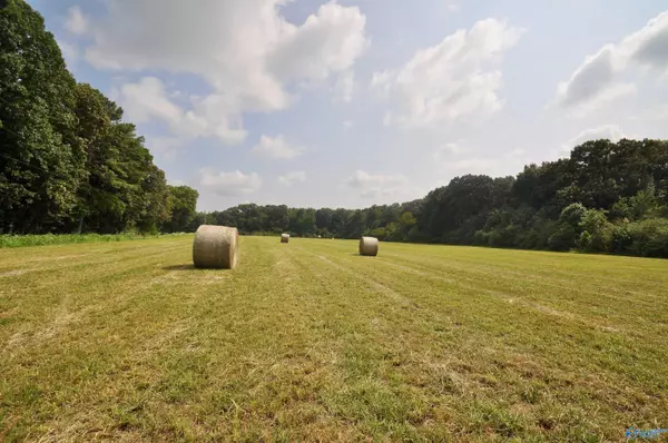 Fairview, AL 35058,13 acres County Road 1549