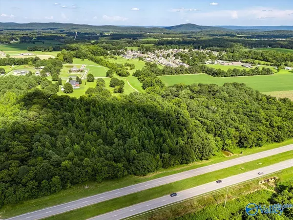 Owens Cross Roads, AL 35763,27.58 Acres Highway 431