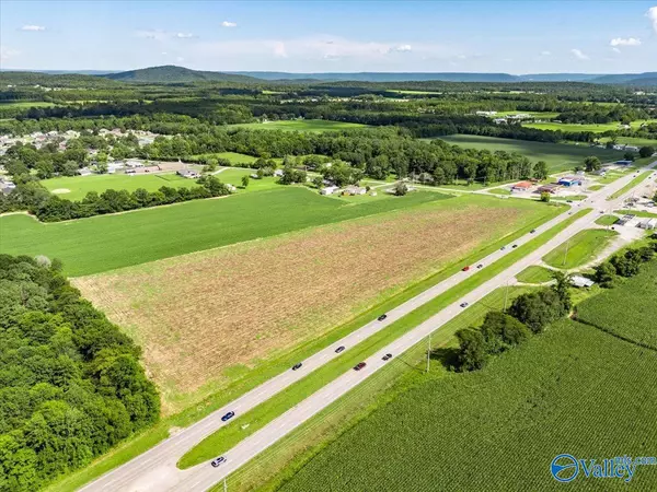 Owens Cross Roads, AL 35763,27.58 Acres Highway 431