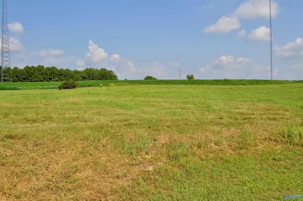 Lot 13 Tiffany Drive, Cullman, AL 35058