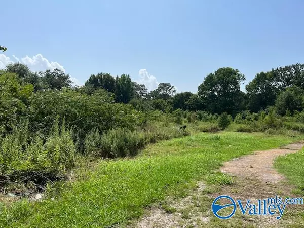 Harvest, AL 35749,5.2 Acres Old Railroad Bed Road