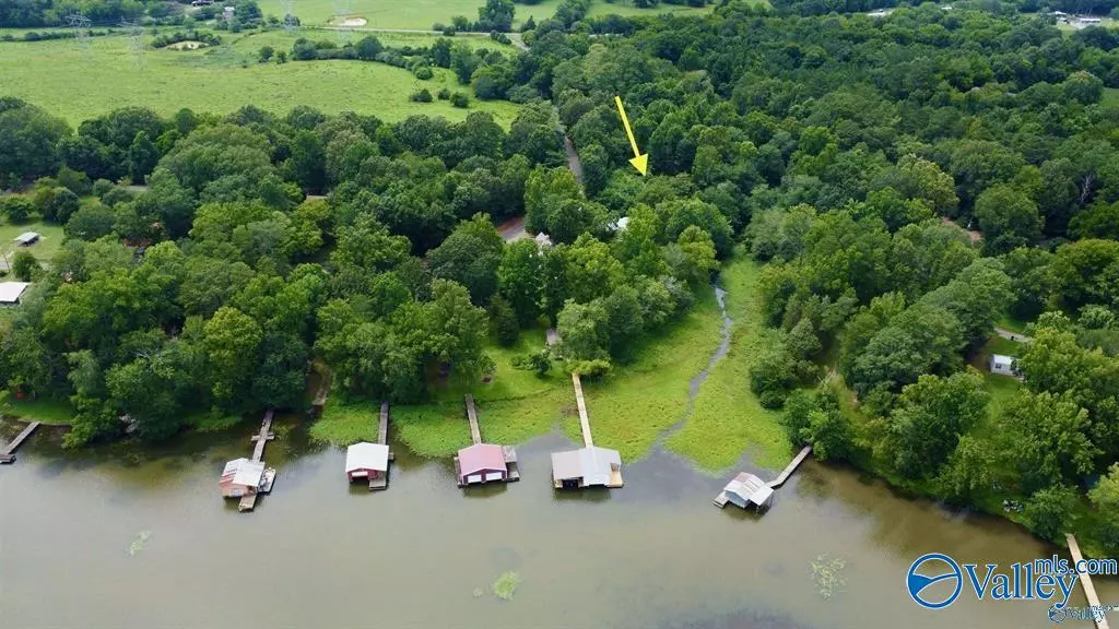 Hollywood, AL 35752,10 Scenic Drive