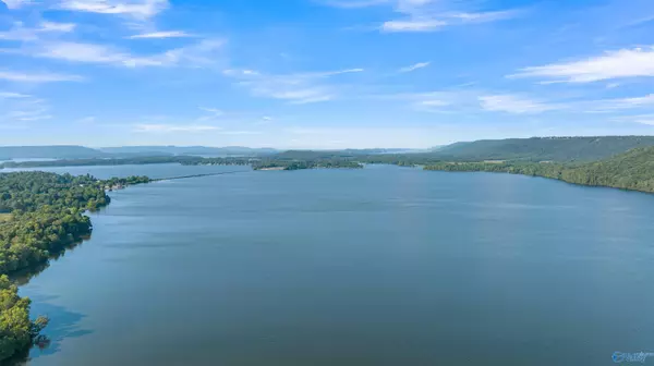 Langston, AL 35755,Lot #17 South Sauty Road