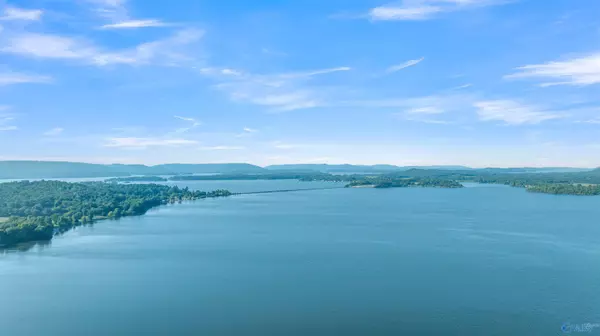 Langston, AL 35755,Lot #17 South Sauty Road