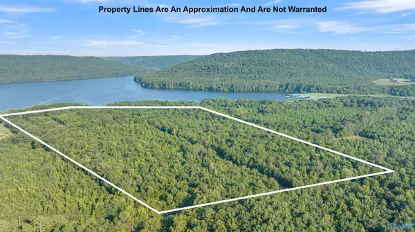 Langston, AL 35755,2.9 acres #10 South Sauty Road