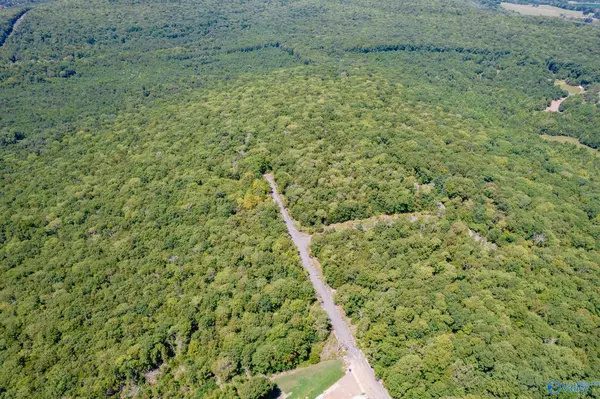 Huntsville, AL 35810,14 Acres Apache Road