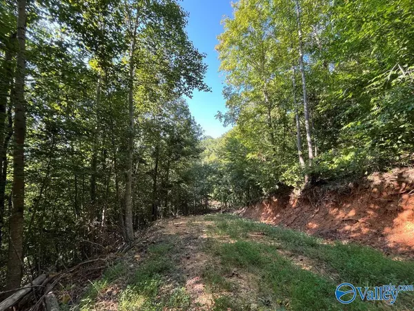 Arab, AL 35016,6090 Ruth Mountain Road