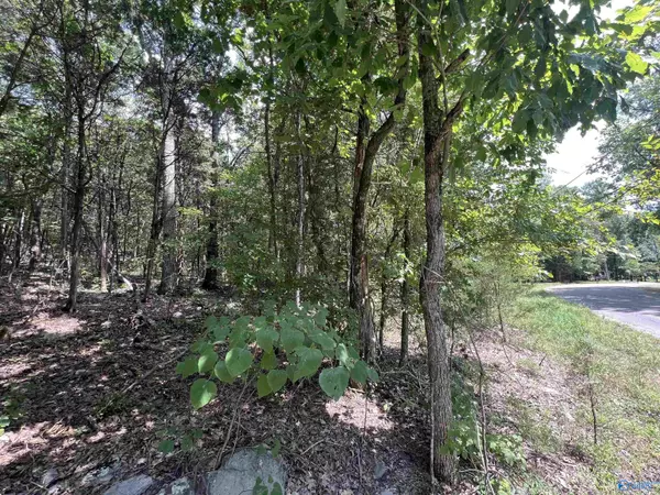 1.9 acres Korgan Avenue E, Laceys Spring, AL 35754