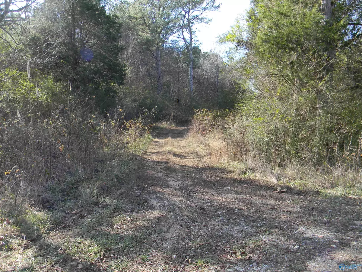 Gaylesville, AL 35973,Track 6 & 7 County Road 41
