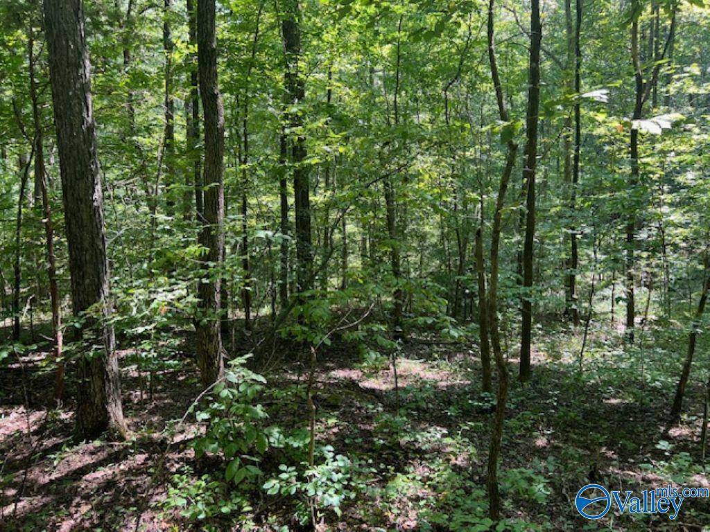 Somerville, AL 35670,1.1 acres Still Meadow Road