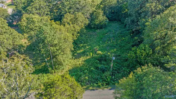 Collinsville, AL 35961,1acre Hall Street