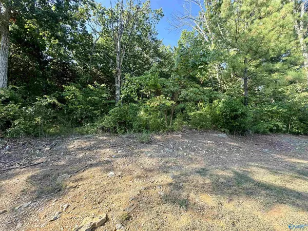 Decatur, AL 35603,11 Selma Street SW