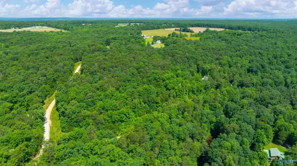 Mentone, AL 35984,54 Road 9043