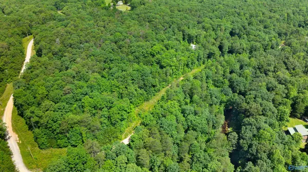 Mentone, AL 35984,55 Road 9043