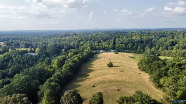 Holly Pond, AL 35083,26.07 ACRES County Road 1740
