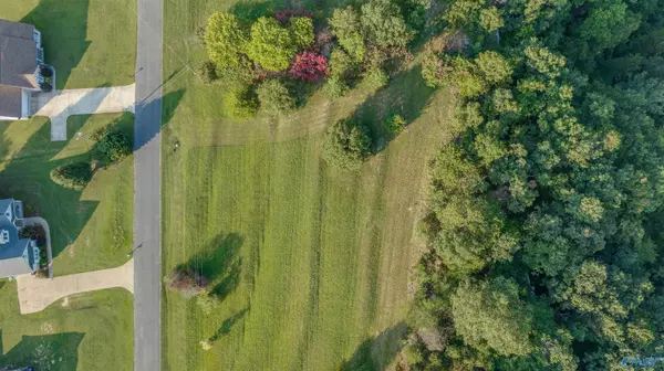 Fort Payne, AL 35968,Lot #21 County Road 1010