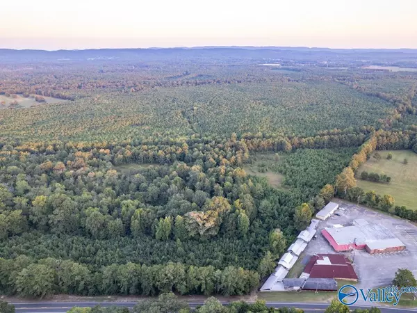 Ashville, AL 35987,130 ACRES Highway 11