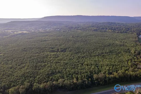 Ashville, AL 35953,110 acres Highway 11