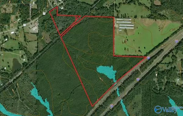 110 acres Highway 11, Ashville, AL 35953