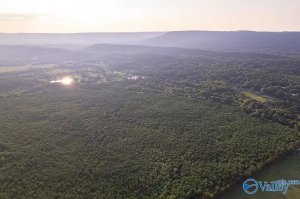 Ashville, AL 35953,110 acres Highway 11