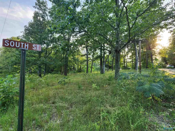 Lot #1, 2, 13, 14, North Cool Street, Mentone, AL 35984