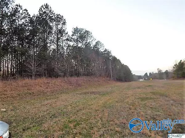 Heflin, AL 36264,72 acres Highway 431