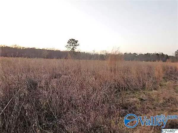 Heflin, AL 36264,72 acres Highway 431