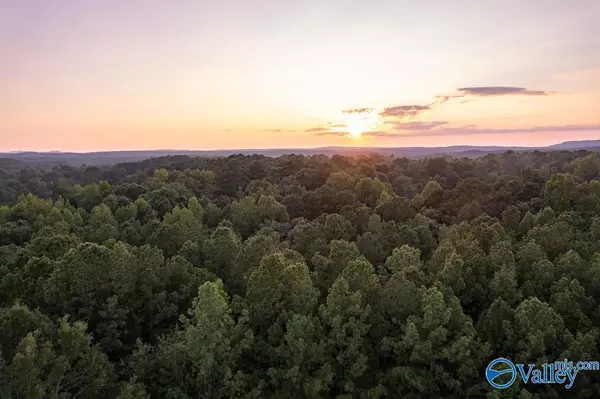 Wattsville, AL 35131,161 Acres Highway 231