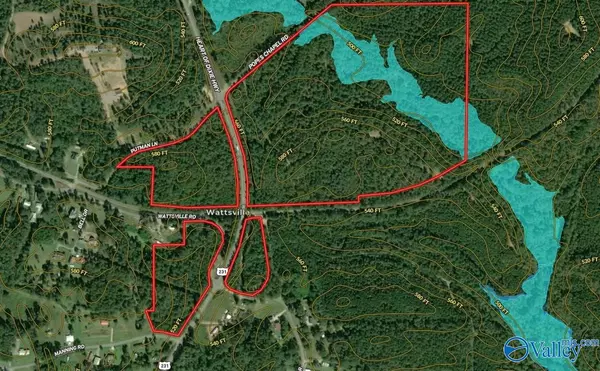 161 Acres Highway 231, Wattsville, AL 35131