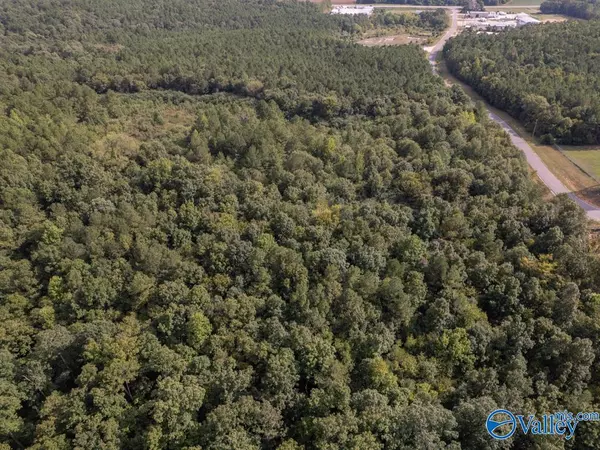 Lincoln, AL 35096,92 Acres Industrial Drive