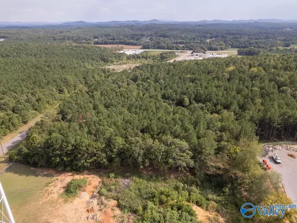 Lincoln, AL 35096,92 Acres Industrial Drive