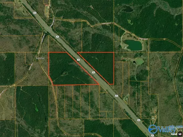 Bradford, AL 35217,67 acres US Highway 280