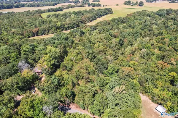 Rogersville, AL 35652,1052 York Drive