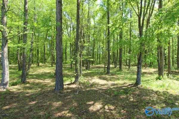 Athens, AL 35613,Lot 29 Ennis Road