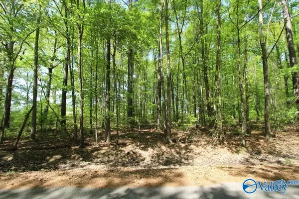 Athens, AL 35613,Lot 29 Ennis Road