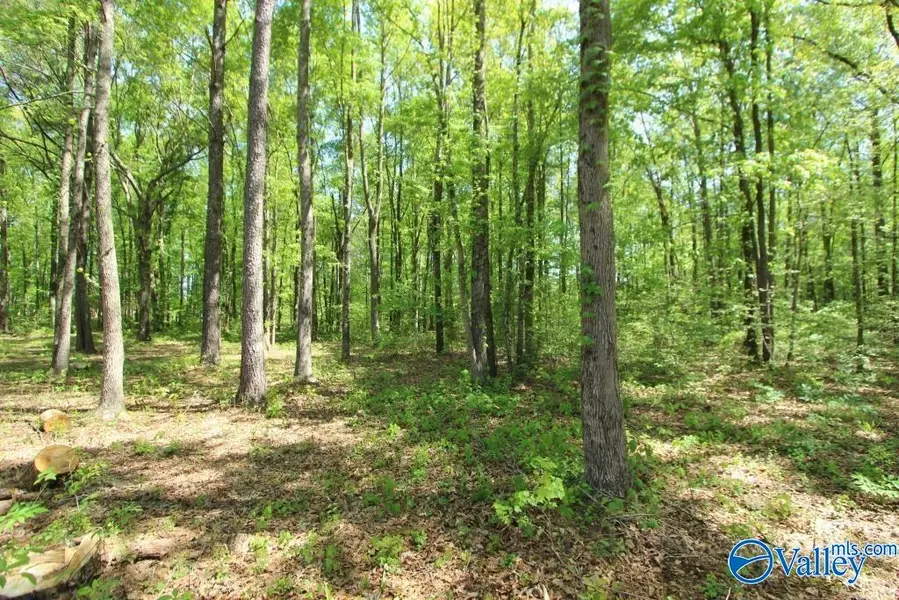 Lot 29 Ennis Road, Athens, AL 35613