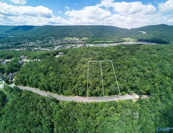 Owens Cross Roads, AL 35763,7014 Ridge Crest Road #LOT40