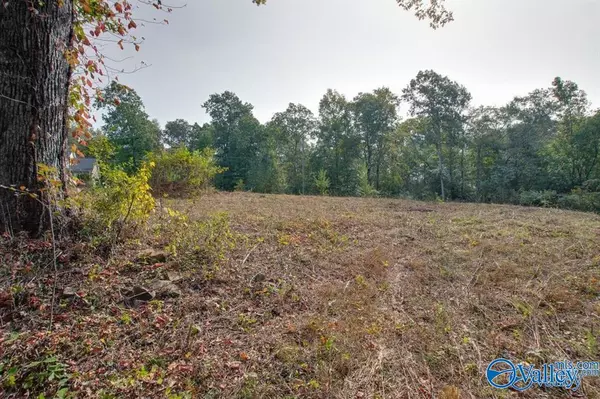 Arab, AL 35016,Lots 1-3 Creekside Lane